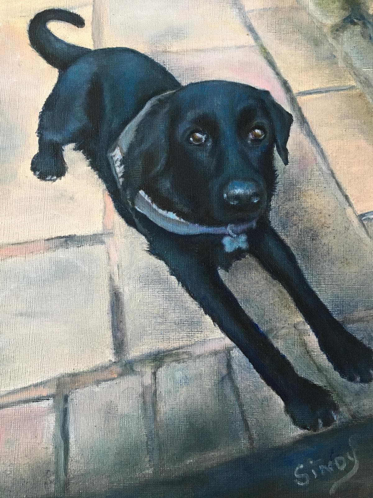 Oil painting of a young black Labrador stretching on a paved patio