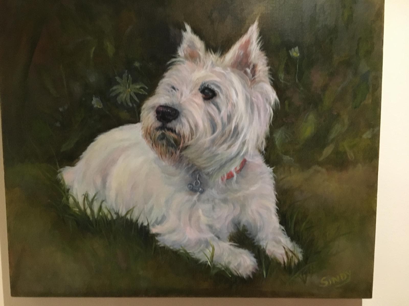 Oil painting of a West Highland white terrier lying in grass looking upwards