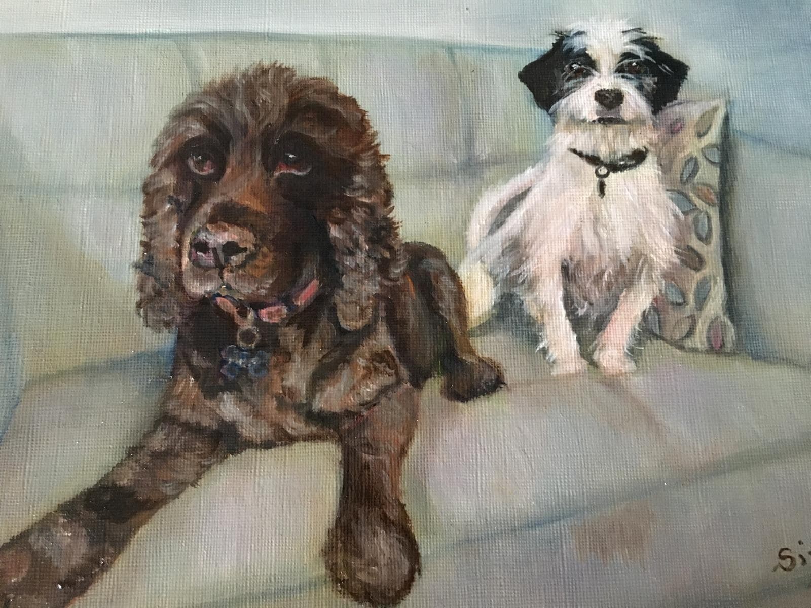Hand-painted oil portrait of a brown spaniel lying beside a small scruffy white dog with black ears, together on a sofa, painted as a multi-pet portrait