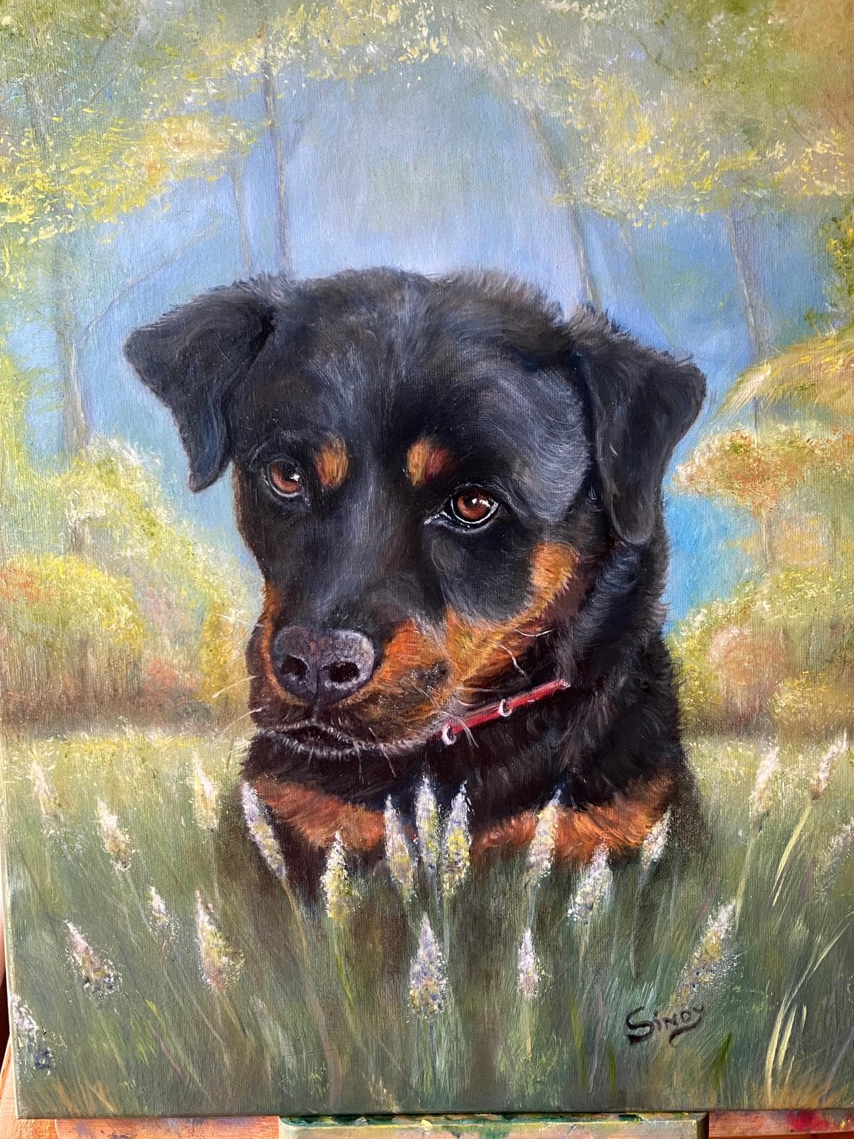 Oil painting of a Rottweiler in long grass with autumn trees behind